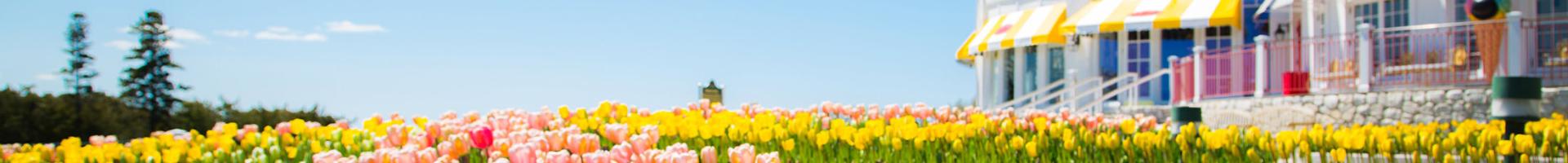 A flower garden in front of the hotel