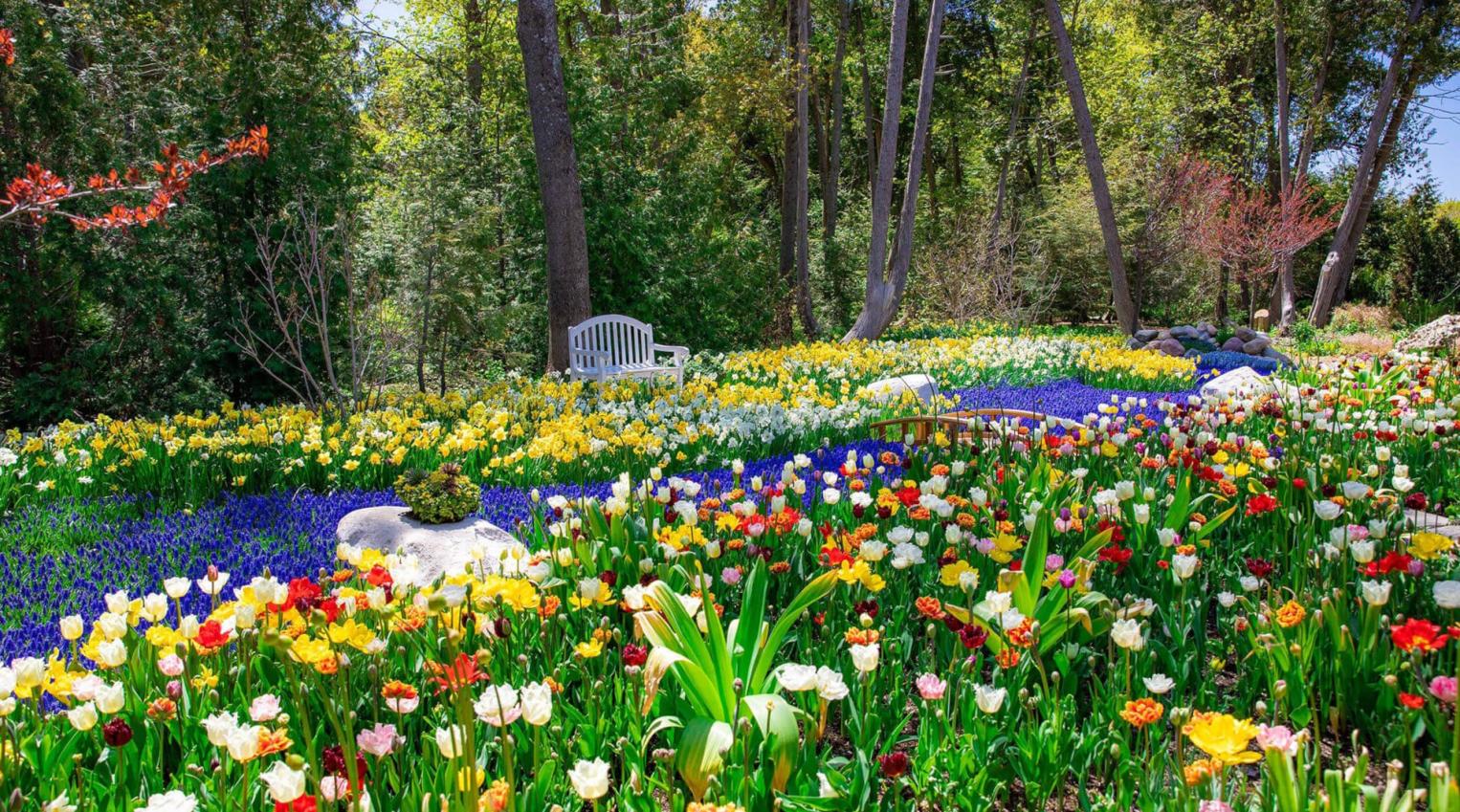 Garden Mackinac Island