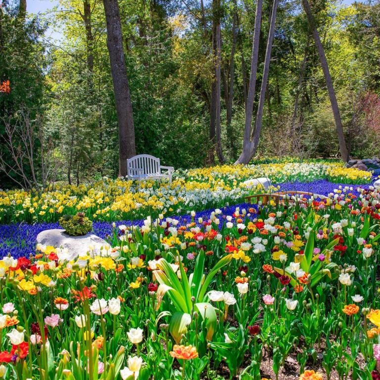 Garden Mackinac Island