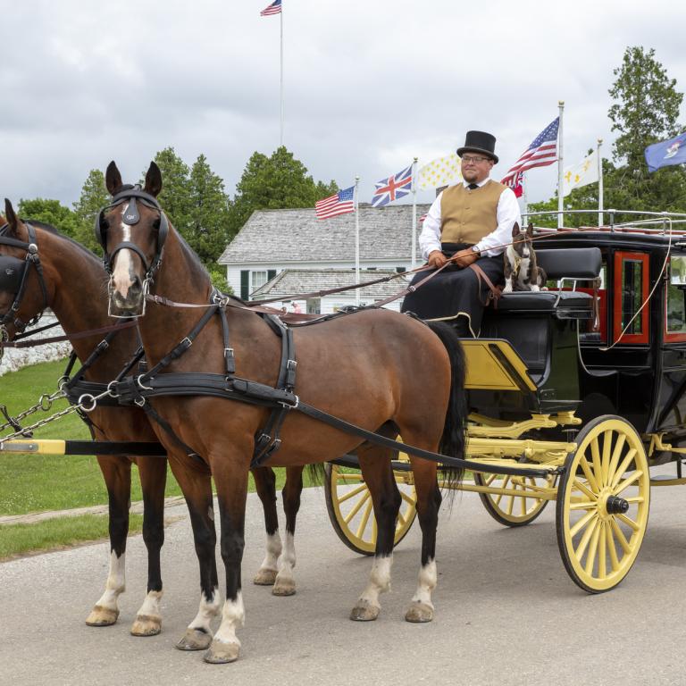 horse and carriage ride